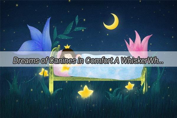 Dreams of Canines in Comfort A WhiskerWhimsical Bedtime Tale